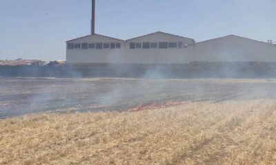 İslahiye’de anız yangını az kalsın fabrikayı yok ediyordu