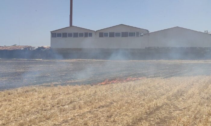 İslahiye’de anız yangını az kalsın fabrikayı yok ediyordu