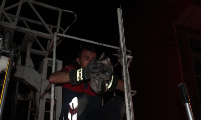 Isparta’da kedi operasyonu