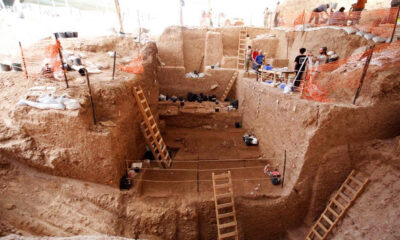 İsrail’de yeni bir antik insan türü bulundu