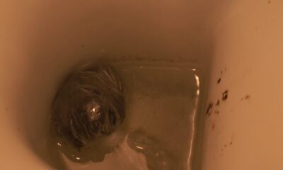 İstanbul’da narkotik operasyonunda çok sayıda gözaltı