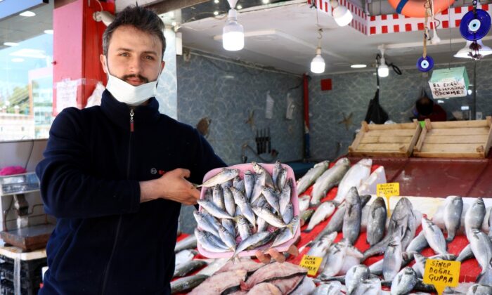 İstavrit, mezgit ve barbun tezgahlardaki yerini aldı