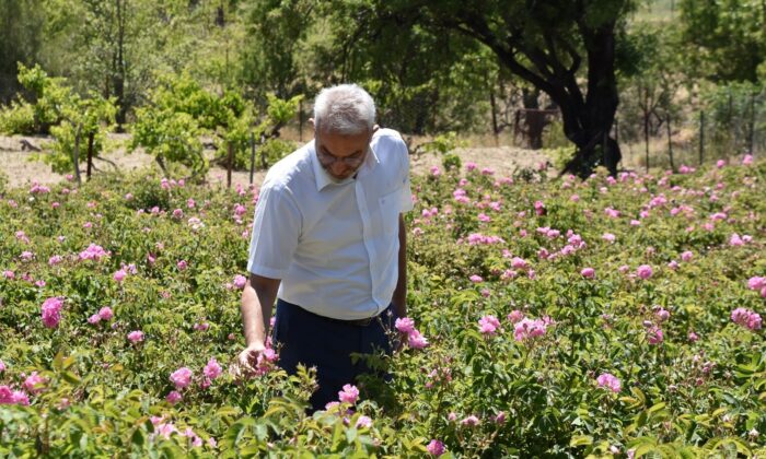 ITSO Başkanı Tutar: “Isparta kozmetikte lider olmalı”