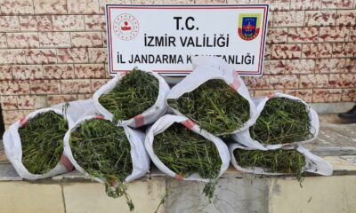 İzmir’de 5 ilçede uyuşturucu operasyonları: 6 gözaltı