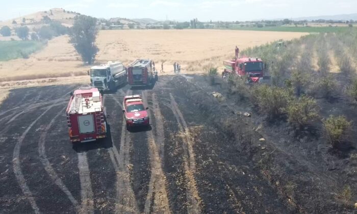 İzmir’de büyük arazi yangını: 40 dönüm arazi kül oldu