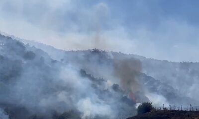 İzmir’de makilik alandaki yangına havadan ve karadan müdahale