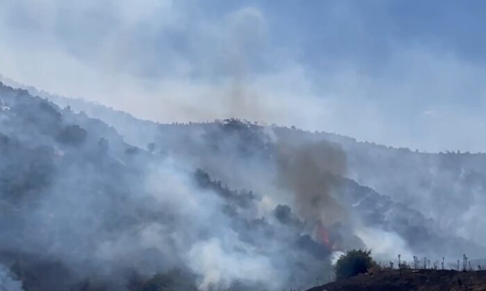 İzmir’de makilik alandaki yangına havadan ve karadan müdahale