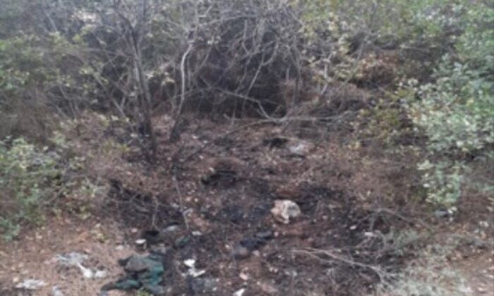 İzmir’de orman yangını çıkarmak isteyen şüpheli, PKK/KCK üyesi çıktı