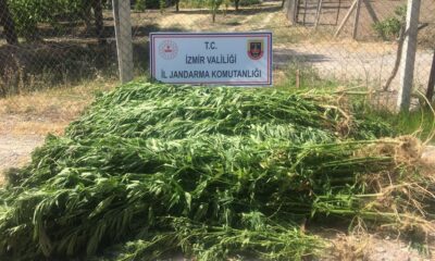 İzmir’de uyuşturucu operasyonu: 7 gözaltı