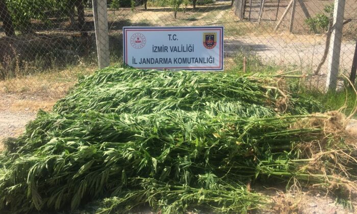 İzmir’de uyuşturucu operasyonu: 7 gözaltı
