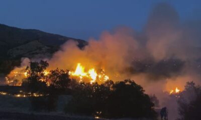 İzmir’de zeytinlik alanda çıkan yangın söndürüldü