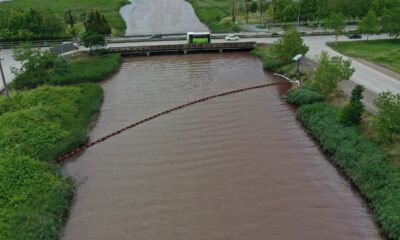İzmit Körfezi çevre felaketinin eşiğinden döndü