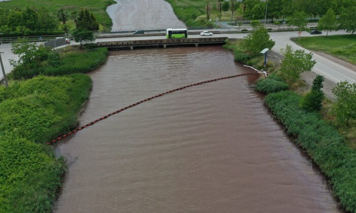 İzmit Körfezi çevre felaketinin eşiğinden döndü