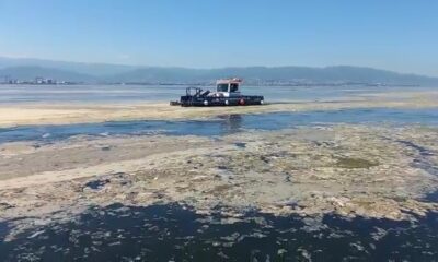 İzmit Körfezi’nde deniz salyası ile mücadele devam ediyor
