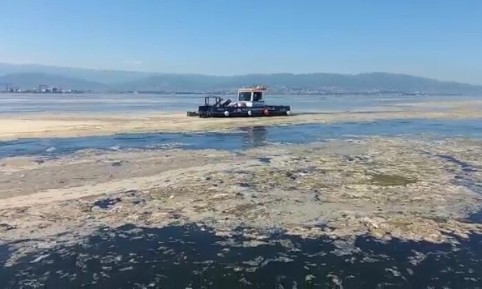 İzmit Körfezi’nde deniz salyası ile mücadele devam ediyor