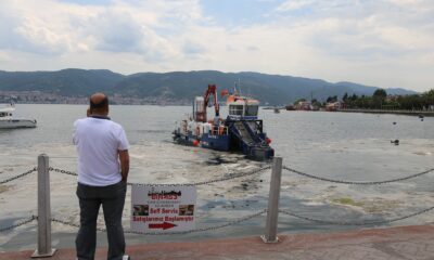 İzmit Körfezi’nde deniz salyası seferberliği