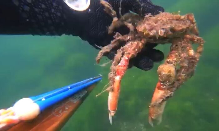 İzmit Körfezi’nin dibinde ürperten görüntüler