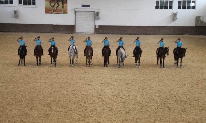 JAKEM’de eğitilen atlar Türkiye’nin çeşitli illerinde emniyet ve asayişi sağlıyor