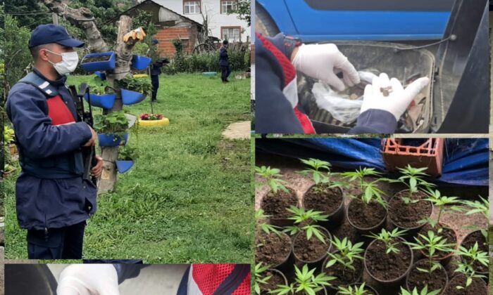 Jandarma ekipleri Sakarya’da suça geçit vermiyor