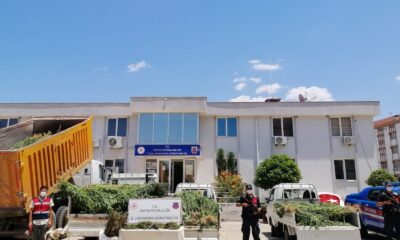 Jandarma havadan drone ile tespit ettiği uyuşturucu tarlasına operasyon: 4 gözaltı