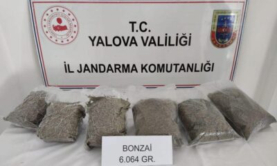 Jandarma narkotik köpeği uyuşturucuyu böyle buldu