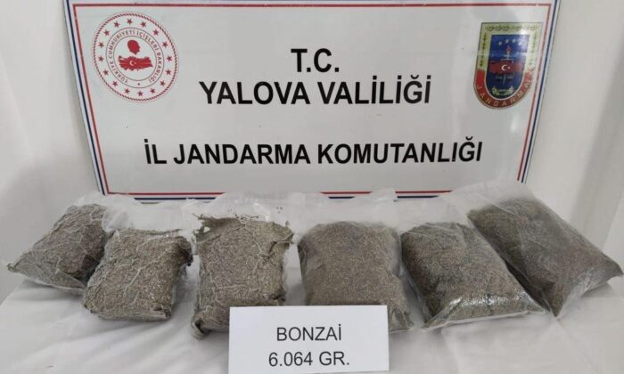 Jandarma narkotik köpeği uyuşturucuyu böyle buldu