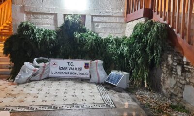 Jandarma’dan 9 ilçede uyuşturucu operasyonu: 11 gözaltı