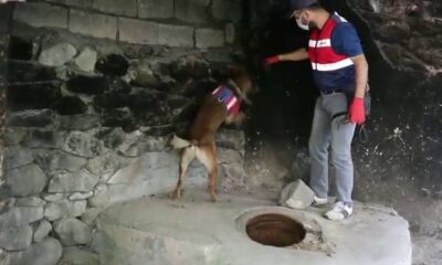 Jandarmadan nefes kesen uyuşturucu operasyonu, 3 ay takip sonucu yakalandılar