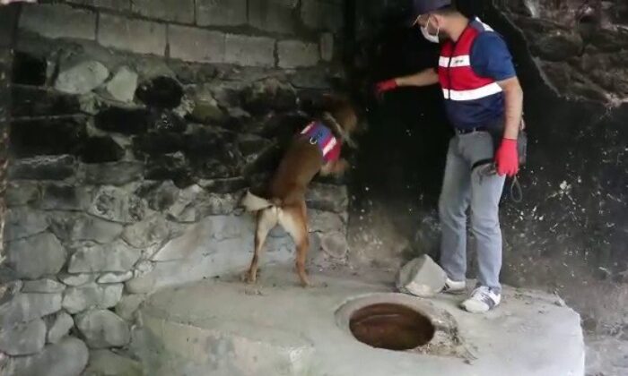 Jandarmadan nefes kesen uyuşturucu operasyonu, 3 ay takip sonucu yakalandılar