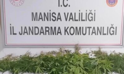 Jandarmadan uyuşturucu tacirlerine operasyon