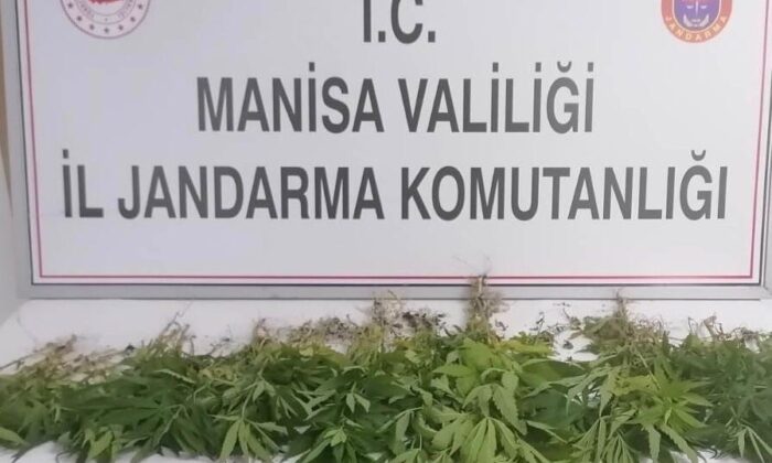Jandarmadan uyuşturucu tacirlerine operasyon