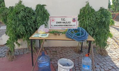 Jandarmadan zehir tacirlerine darbe: 16 gözaltı