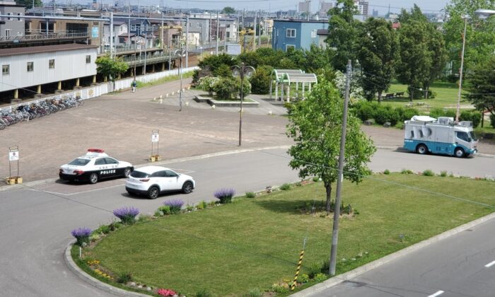 Japonya’da şehre inen ayı dehşet saçtı: 4 yaralı