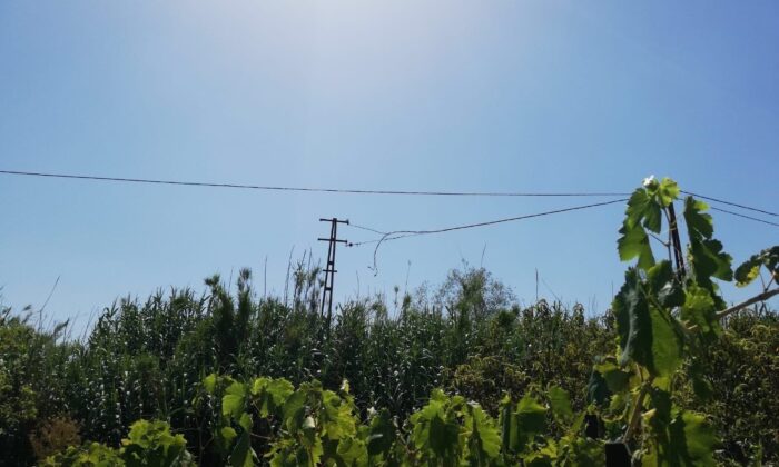 Kablo hırsızları jandarmadan kaçamadı