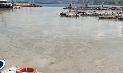 Kabus hızla yayılıyor: Sahilin tamamını kapladı