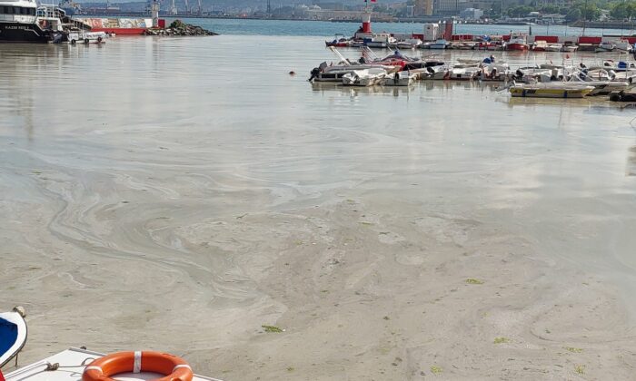 Kabus hızla yayılıyor: Sahilin tamamını kapladı
