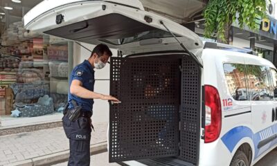 Kadın esnaf hırsızlık zanlısını yakaladı