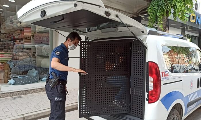 Kadın esnaf hırsızlık zanlısını yakaladı