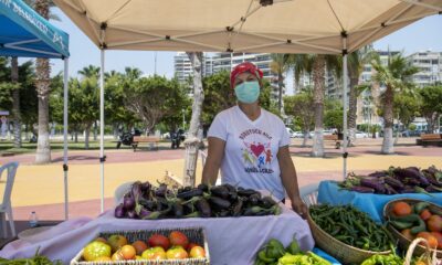 Kadınlar atıklardan üretti, belediye stantlarında sergilendi