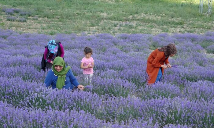 Kadınlar birlik oldu, şimdi o köy kırsal turizmin gözdesi