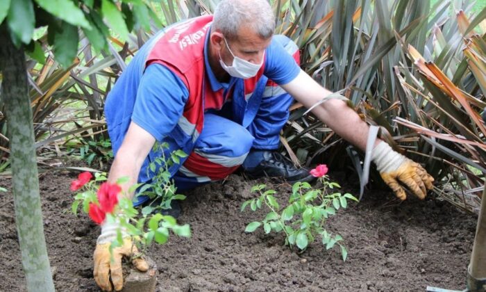 Kağıthane’de yüz binlerce çiçek toprakla buluştu