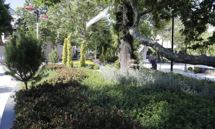 Kağıthane’ye 24 bin metrekarelik botanik meydan