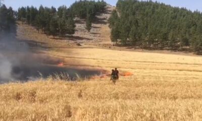 Kahramanmaraş’ta buğday tarlası yandı
