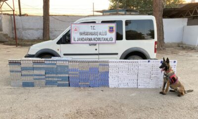 Kahramanmaraş’ta kaçak sigara operasyonu