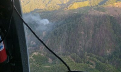 Kahramanmaraş’ta orman yangını