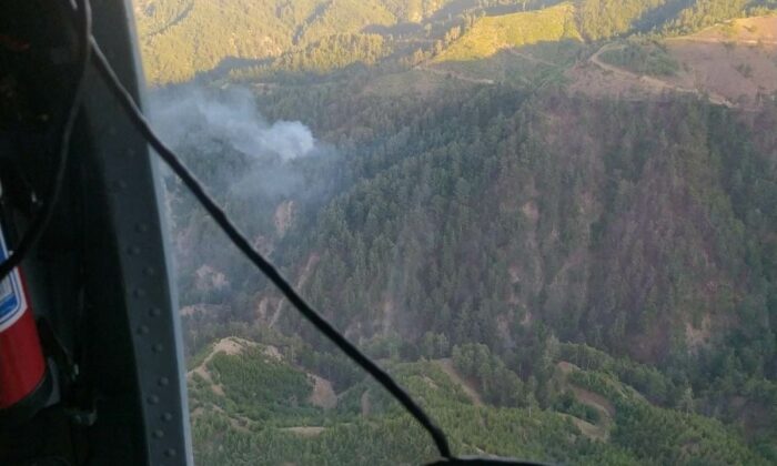 Kahramanmaraş’ta orman yangını