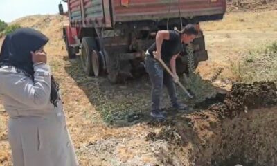 Kahramanmaraş’ta telef olan binlerce tavuk çukura gömüldü