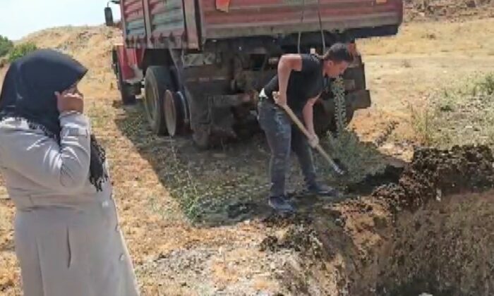 Kahramanmaraş’ta telef olan binlerce tavuk çukura gömüldü
