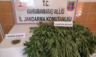 Kahramanmaraş’ta uyuşturucu operasyonu