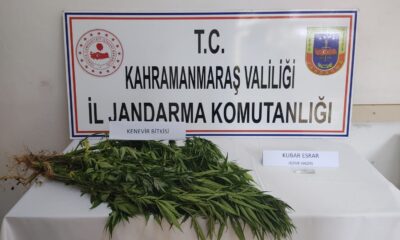Kahramanmaraş’ta uyuşturucuya 2 gözaltı